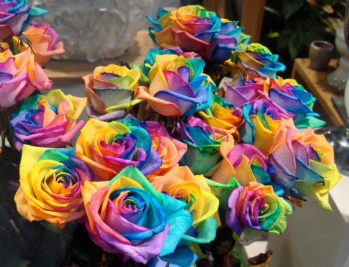 a-bunch-of-rainbow-roses-for-sale-by-Gertrud-K